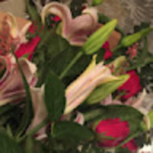 Meet your Posher, Cecelia